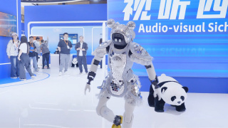 在线播放国产一区